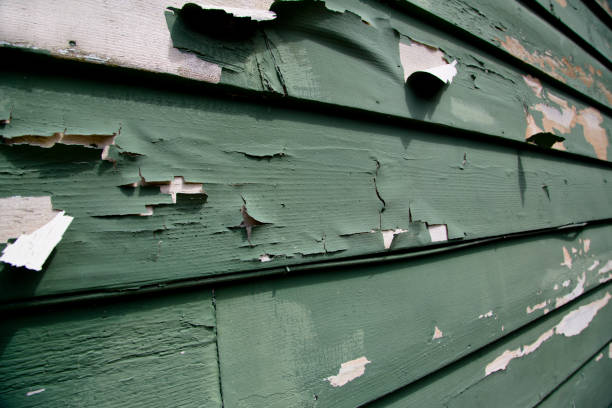 Best Historical Building Siding Restoration  in New Milford, NJ