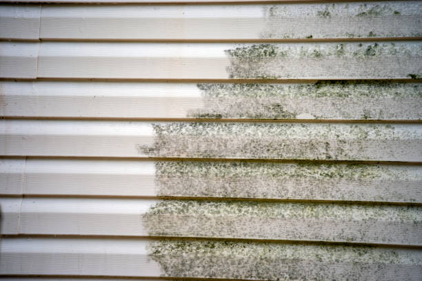 Best Steel Siding Installation  in New Milford, NJ