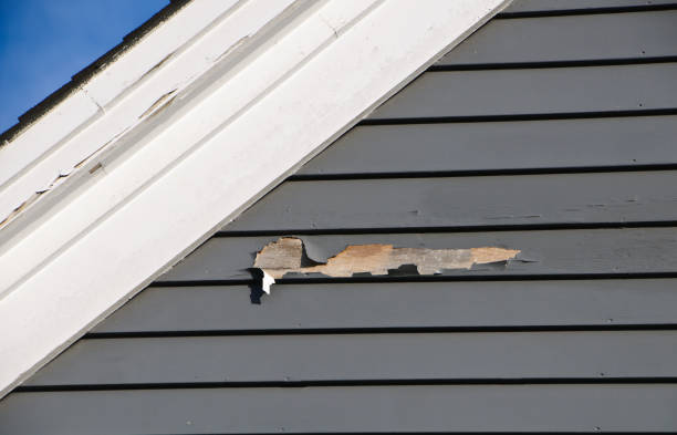 Best Siding for Multi-Family Homes  in New Milford, NJ